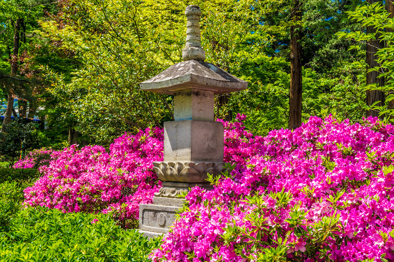 Zenkoji temple precinct photo2