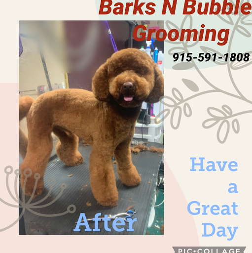 Barks N Bubbles Grooming (CPG) logo