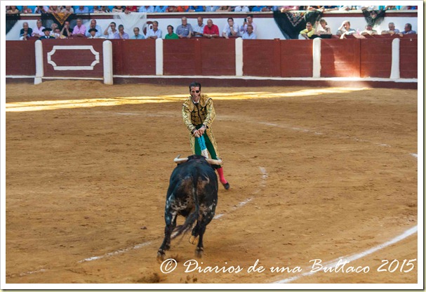 Toros Feria 2015-9855