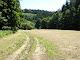 Obrázek: IMG_20100627_110122.JPG
