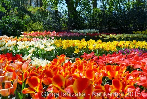 1 .Glória Ishizaka - Keukenhof 2015 - 12