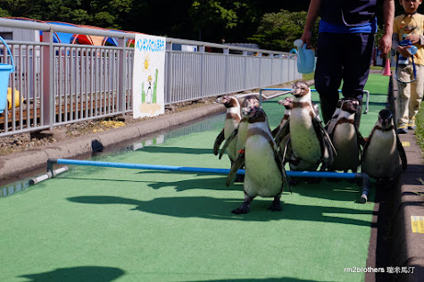 室蘭水族館