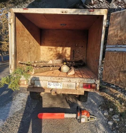 En Morelia, detiene División Ambiental a dos que portaban una motosierra y un árbol