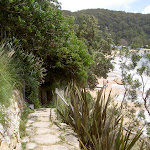 Track south of Mackerel Beach (30086)