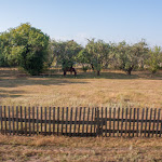 20150815_Fishing_Ostrivsk_052.jpg