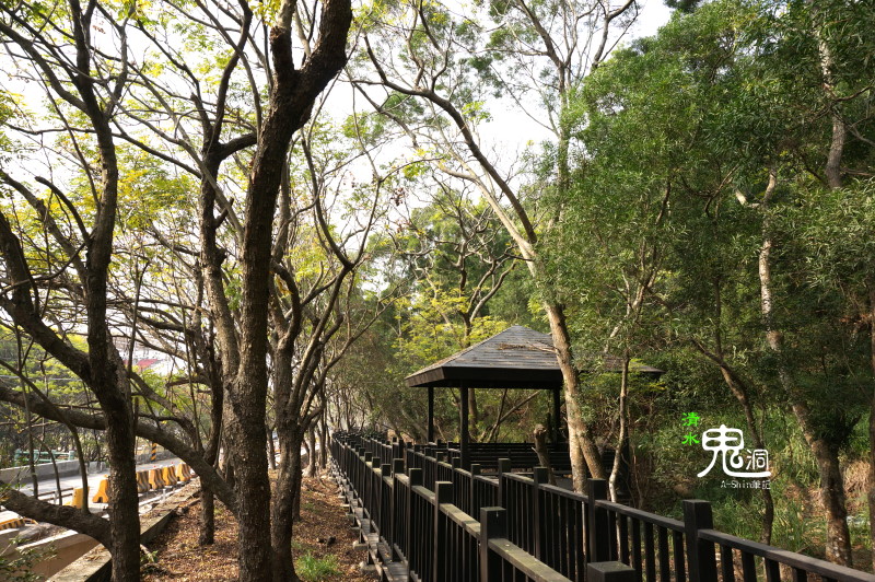 清水鬼洞|讓阿新來揭開台中清水鬼洞的神秘面紗，希望不會遇到魔神仔...