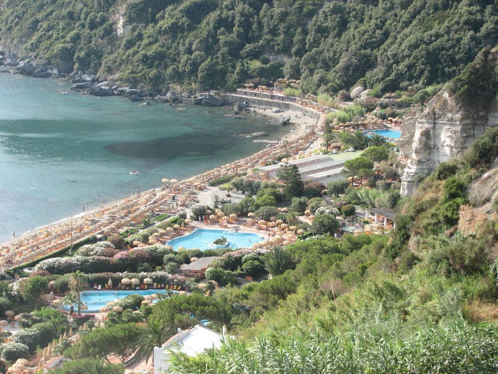 Evergreen island     Ischia