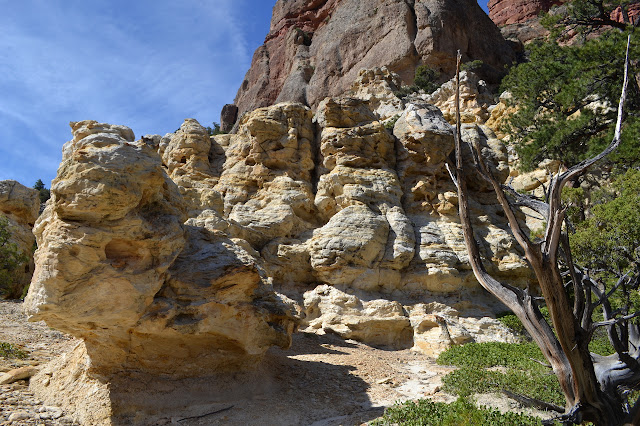 lumpy yellow rocks