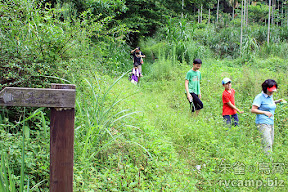 苗栗南庄松濤意境 @定點露營