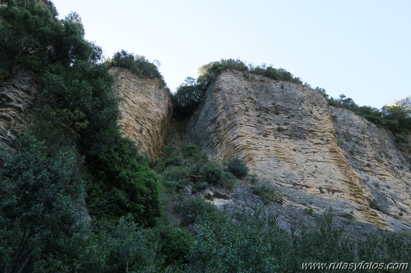 Tajo del Abanico - Encinas Borrachas - rio Audalazar - Alpandeire