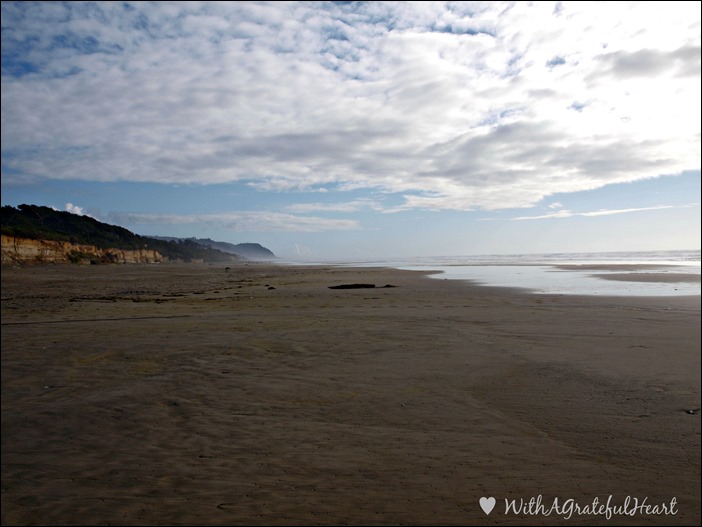 Tillicum Beach - South