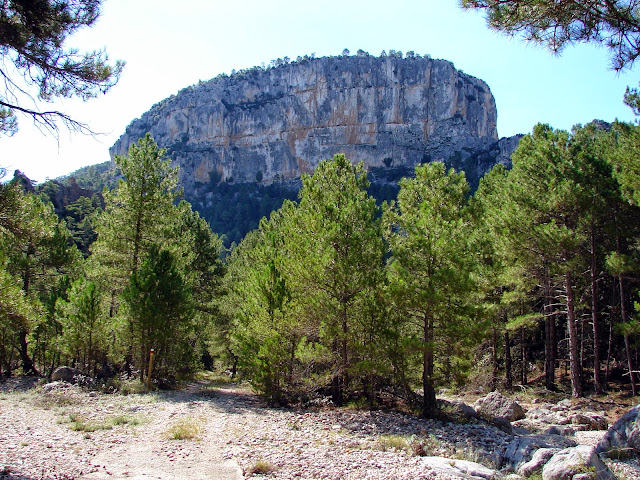 Senderismo - Portell de Morella - Rambla Sellumbres PR-CV 408