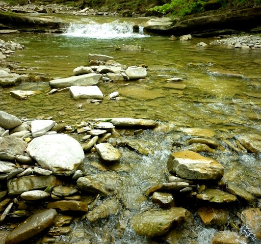 P1000104.JPG