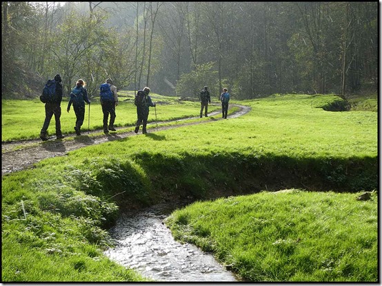 Beck Dale 2916beckdale3