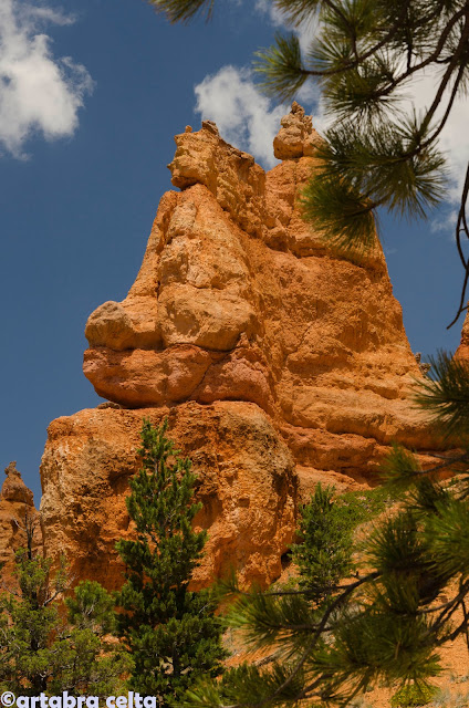 TRAIL COMBINADO: NAVAJO Y QUEENS GARDEN EN BRYCE CANYON (UTAH, USA), Excursiones-USA (13)