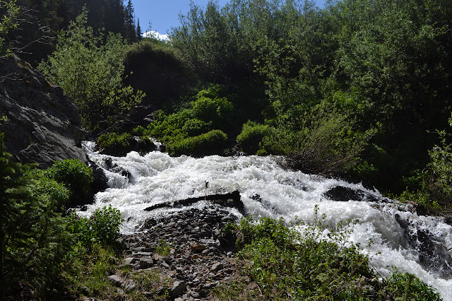 white water ford