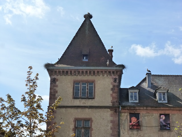 ALSACIA, o  COMO  VIAJAR POR UN MUNDO DE CUENTO, HISTORIA Y LEYENDA - Blogs de Francia - RUTA DE LAS CRESTAS. MUNSTER. GRAND BALLON. EGHISHEIM. RUTA CINCO CASTILLOS (6)