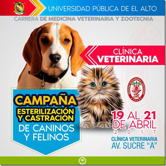 Clínica Veterinaria de la UPEA realiza jornadas de esterilización para felinos y canes