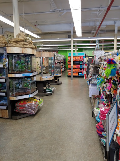 Pet Supply Store «Petco Animal Supplies», reviews and photos, 7507 31st Ave, East Elmhurst, NY 11370, USA