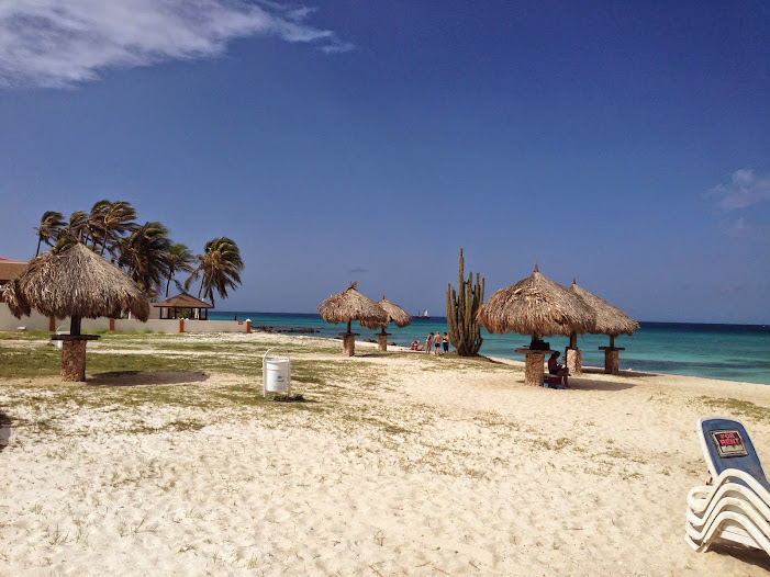 ARUBA LOW COST POR LOSFRATI - Blogs de Caribe - ARUBA LOW-COST POR LOSFRATI (6)