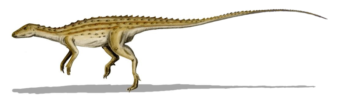 파일:external/upload.wikimedia.org/Scutellosaurus.jpg