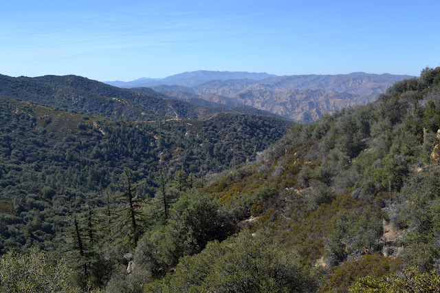 across the canyon