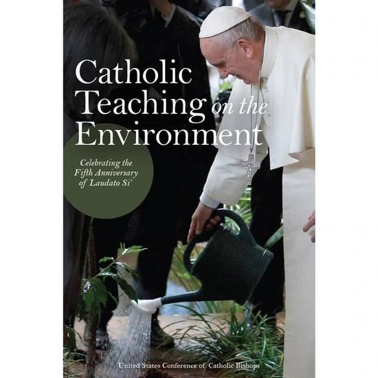 Catholic Teaching on the Environment: Celebrating the Fifth Anniversary of Laudato Si'
