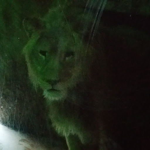 El Milagro Corn Tortillas, Flatbread Calories, Nutrition Analysis