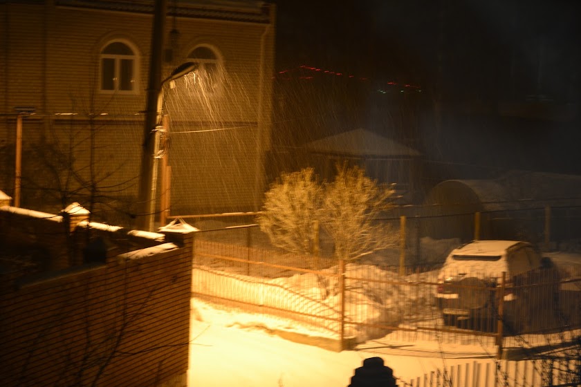 Поговорим о кошках38