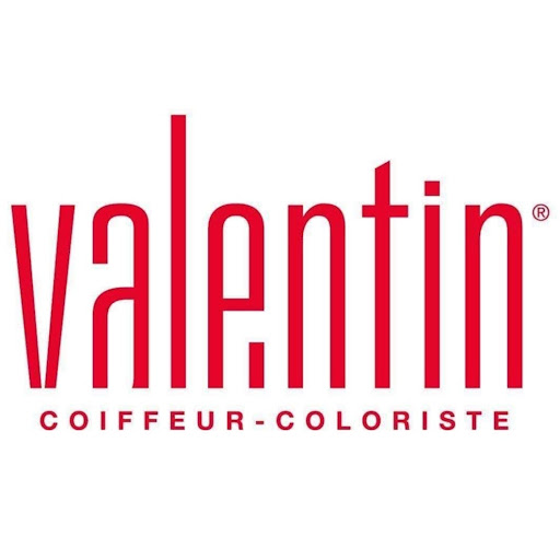 Valentin Coiffeur - Coloriste MARLES LES MINES logo