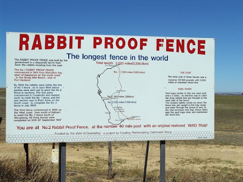 Rabbit Proof Fence