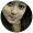 Pratiwi 02