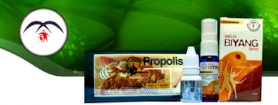 Sehat dengan Propolis