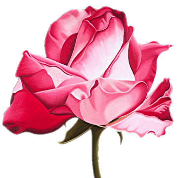 Logo Fleur Rose