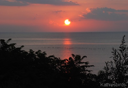 21. DSC_0080 sunset lake ontario 2011