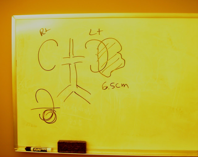 Урологи. Мыши. Девушка. 