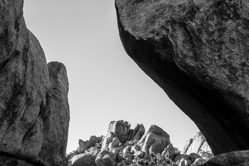 jumping in joshua tree-9