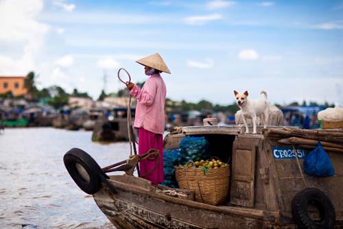 La-vie-aquatique-dans-le-Mekong