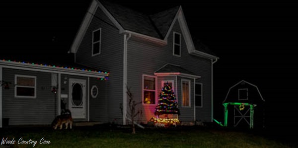 Christmas lights 2015 (1 of 3)