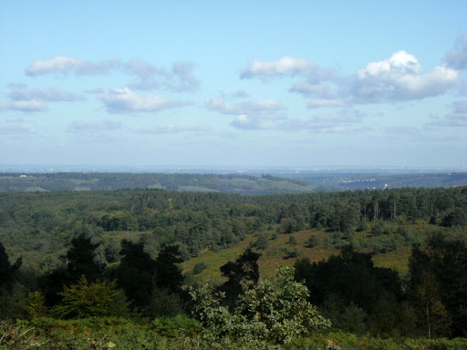 1009250004 View north from Leith Hill