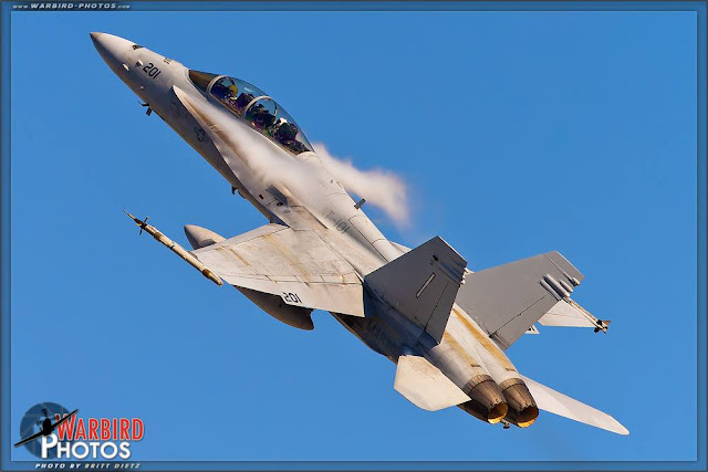 [Hasegawa] F/A-18A Hornet 10974243_10153162462623489_8302301038460813710_o