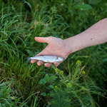 20160601_Fishing_BasivKut_007.jpg