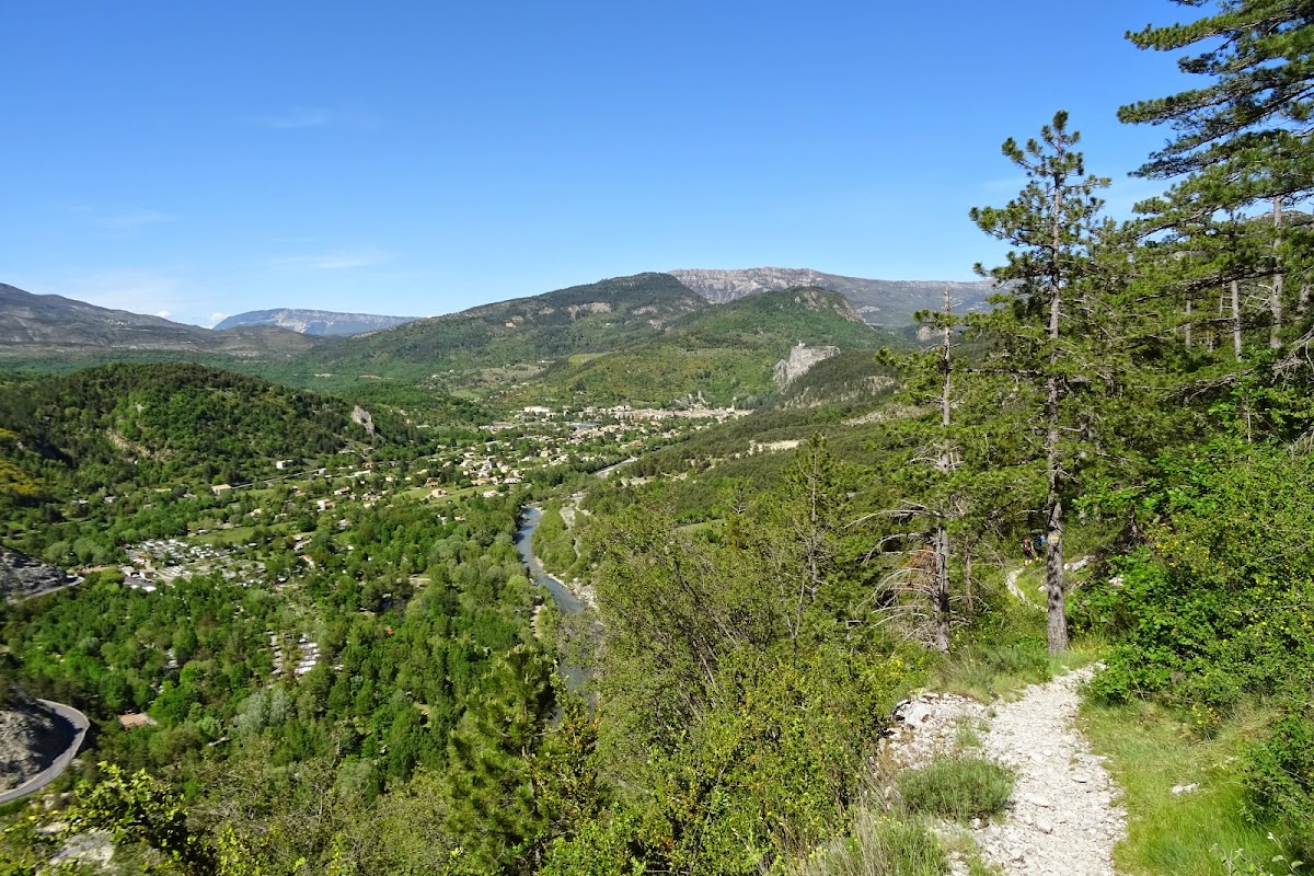 DSC02980.JPG