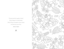 The Little Book of Colouring - Tropical Paradise 02