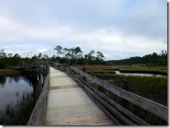 Bridges over the marsh