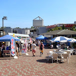 at the Shinagawa Aquarium in Shinagawa, Japan 