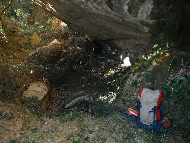 Bassa als feixons del torrent del Tro