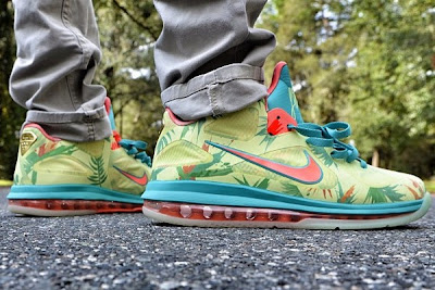 lebronold palmer 9 low