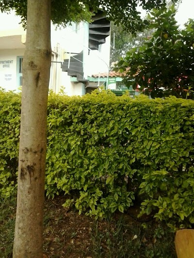 Photos of Thika High School