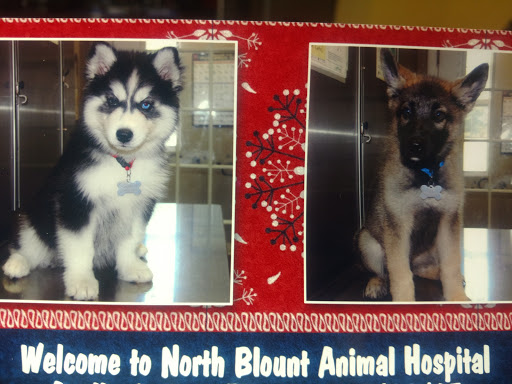 Animal Hospital «North Blount Animal Hospital», reviews and photos